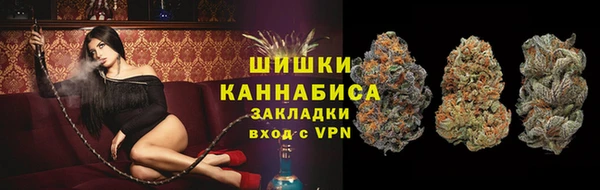 гашик Аркадак