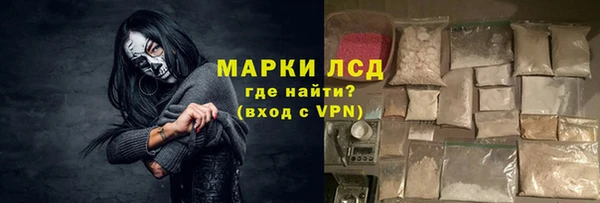 хмурый Арсеньев