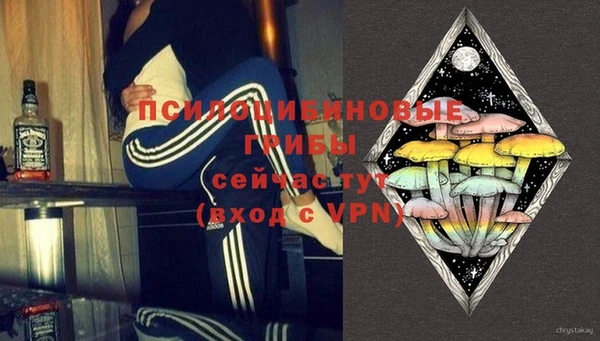 хмурый Арсеньев