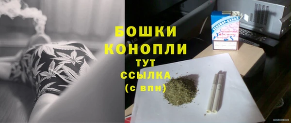 гашик Аркадак