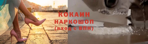 гашик Аркадак