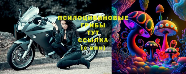 хмурый Арсеньев