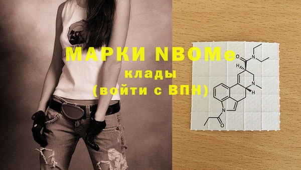 гашик Аркадак