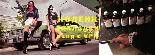 гашик Няндома