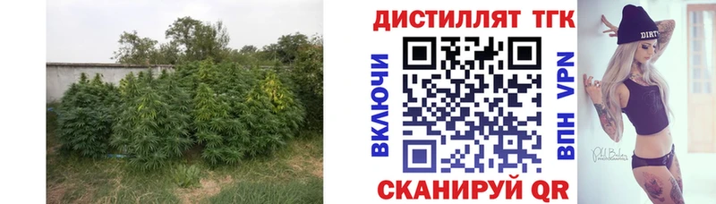 Дистиллят ТГК концентрат Полярные Зори