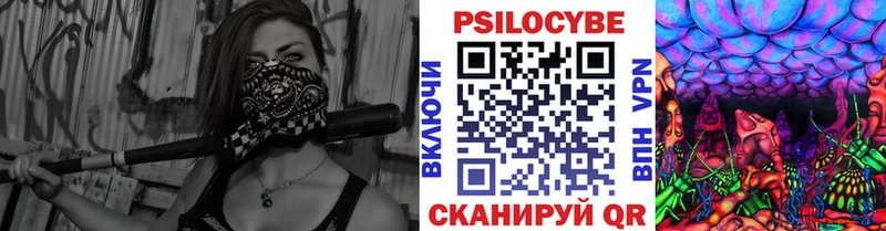 Галлюциногенные грибы мицелий  что такое наркотик  Полярные Зори 